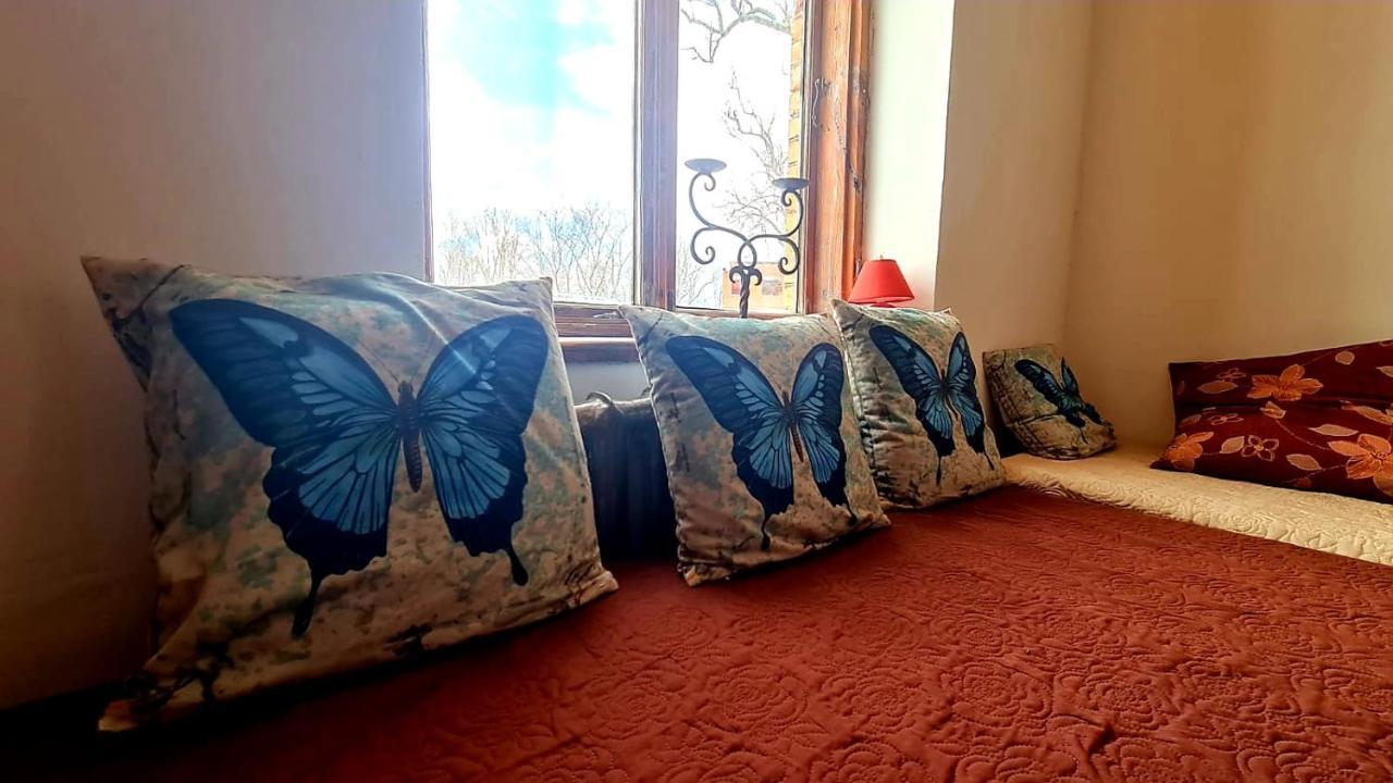 Appartement Butterfly House à Pāvilosta Extérieur photo